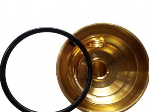 O ring for Braumeister Pump
